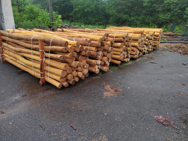 Processed acacia posts